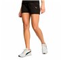 MisterVac | compatible avec les sacs d'aspirateurs professionnels, sacs de rechange 10 pièces Milwaukee AS 2-250 ELCP Prof.