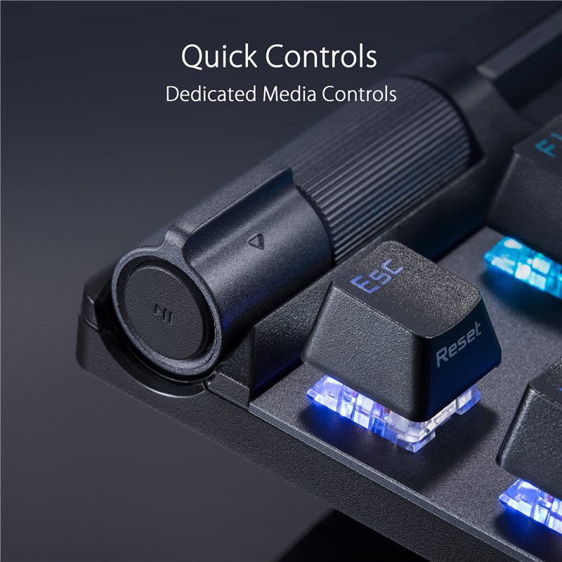 XLC Set de vis de Montage Garde-Boue. mg-f05/06 (5u) Accessoires pour vélo Sport