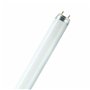 Tube fluorescent Osram 18 W T8 1300 lm (6500 K)