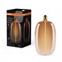 OSRAM Vintage 1906 Big Elipse Oval est une à intensité variabavec un filament en forme d'ellipse. Il propose 4