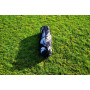 Chaussures de Sport pour Homme Puma