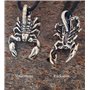 Pierre Cardin® CLAUDIE Set de stylo tactile et bille avec gravure | Stylos de qualité supérieure | Étui | mine bleue | cadeau pe