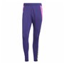 Jogging d'Entraînement de Football pour Adultes Adidas Predator Tr Homme