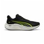 Chaussures de Running pour Adultes Puma Electrify Nitro 4 Noir