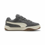 Chaussures de Sport pour Homme Puma Park Lifestyle Sk8 S