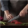 Wakoli Edib Set de 5 couteaux en Damas I Lames en acier damassé à 67 couches avec noyau VG10 et manches en bois de pakka I Coute