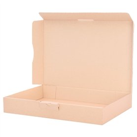 verpacking 25 cartons maxi 31 x 22