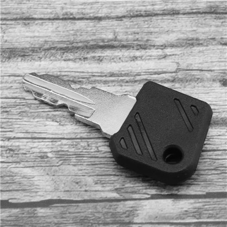 Prolac Bandes décoratives (10 m) pour voiture