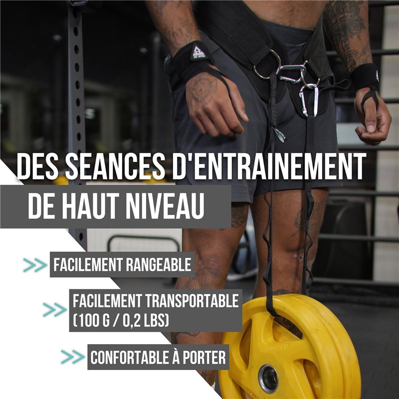 Rollra Système de roulement à billes avec support