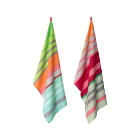 Remember Lot de 2 torchons de Cuisine 100% Coton - Extra absorbants et Non Pelucheux au Design coloré - pour Un Usage Quotidien