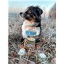 Bellfor Gutshof-Happen Snack Doux pour Chiens – Friandise sans céréales au Canard et à la Dinde, Snack Naturel pour Dressage et 