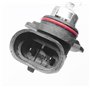 LIGHTWORLD24 2 x HIR2 9012 ampoule halogène 12V 55W – Ampoule pour feu de croisement, feu de route, phare antibrouillard, feux d