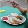 GREENBOX Palmware Lot de 12 assiettes jetables en feuille de palmier 22 x 24 cm
