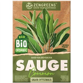 ZenGreens® – Graines de sauge bio - Graines d'herbes aromatiques à cultiver facilement au jardin