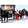 Mit eisernen Fäusten – Kinofassung (in HD neu abgetastet und Digital remastered) Oscar-prämierter Regisseur Sydney Pollack & Sta