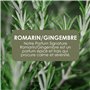 Jean & Len Savon pour les mains Rosemary & Ginger, nettoie les mains abîmées, usage quotidien, savon liquide avec pompe recharge