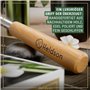 HELDSON® Gratte-dos en bois extra stable [6 variantes de grattage] – Gratte-dos télescopique extensible – Grattoir arrière – Mas