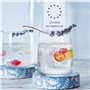 Lot de 6 verres élégants en verre transparent – Passe au lave-vaisselle