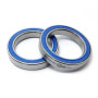 Blue Seal