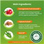 Ecocert Cosmos Natural certifié Himalaya Botanique Dentifrice Neem et Grenade aux Actifs Bio, combat la plaque dentaire, éclairc
