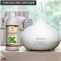 Huile Essentielle de Menthe Poivrée 1000ml - Mentha Piperita - Aromathérapie - Parfum d'Ambiance - Huile Essentielle de Menthe P