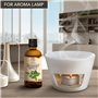 Huile Essentielle de Menthe Verte 100ml - Mentha Spicata - Sauna - Soins du Corps - Massage - SPA - Diffuseur Arômes - Relaxatio
