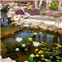Nénuphars artificiels - Lot de 5 fleurs de lotus artificielles flottantes - Décoration de bassin - Nénuphar - Ornement pour terr