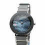 Montre Homme Bering 11429-789 (Ø 29 mm)