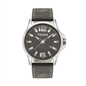 Montre Homme Timberland TDWJB2004201