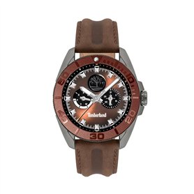 Montre Homme Timberland TDWGF2200902