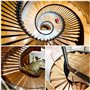Ocnvlia LED Capteur de Mouvement Bande Lumineuse Escalier 32 Canaux Gradation LumièRe IntéRieur Mouvement Veilleuse 12V / 24V Ba