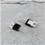 ECSiNG 20x N-Channel IRF540N MOSFET Transistor TO-220 33A 100V 3 Broches International Redresseur Puissance pour l'industrie Dom