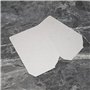SG Store 4 Pièces Couvercles de Guide d'ondes Plaques de Mica Feuille Four à Micro-ondes Magnétron Couvercle de Protection Pièce