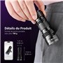Lepro Lampe UV, 395nm Lampe Torche UV avec 21 LEDs Ultra-Violet, 3 Piles AAA Fournies pour Traceurs Fluorescents Chien Chat Tapi