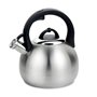 Théière Feel Maestro MR-1311 3 L