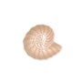 Bol pour Apéritifs Bidasoa Aura Stela Beige Céramique 12,5 x 11,5 x 5 cm (6 Unités)