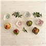 Assiette Quid Velvet Rose Céramique 9,6 x 9,6 cm (24 Unités)