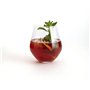 Verre Bohemia Crystal Magnus Transparent verre 500 ml (6 Unités)