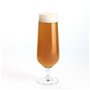 Verre Bohemia Crystal Premiere Universal Transparent verre 380 ml Bière (6 Unités)