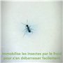 Raid Essentials Spray Freeze Action - Punaises de Lit, Fourmis et Cafards - Sans Insecticides, Neutralise par le Froid - 1 Aéros
