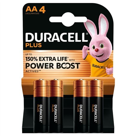 Piles Rechargeables DURACELL 5000394176034 1