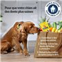 10 Sachets de 7