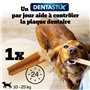 Détartrage Dentaire C