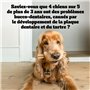 Pedigree DENTASTIX 70 Bâtonnets à Mâcher pour Moyen Chien 10-25kg, 10 Sachets de 7, Saveur Poulet et Bœuf, Détartrage Dentaire C