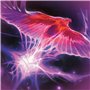 Magic: The Gathering Challenger Deck Pioneer édition 2022 Izzet Phénix (Bleu-Rouge - Version Française) D2211101 Multicolore