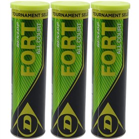 Dunlop Balles de Tennis Fort All Court TS 12 Balls