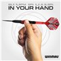 WINMAU Darts Joe Cullen Rockstar 20g Laiton Jeu de fléchettes avec ailettes et tiges de fléchettes et Carte de Score Incluse