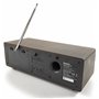 Panasonic Radio DAB/FM RF-D100BTEGT I Fréquences FM/DAB/DAB+ Bluetooth 10W Egaliseur 5 préréglages Horloge fonctionne sur secteu
