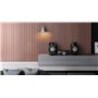 Panasonic SC-AKX520E-K Haut-Parleur sans Fil Megasound avec Bluetooth et karaoké 650 W