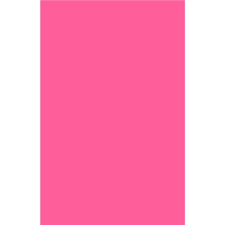 DJP Lot de 100 feuilles de papier pour photocopieur Rose intense 80 g/m²